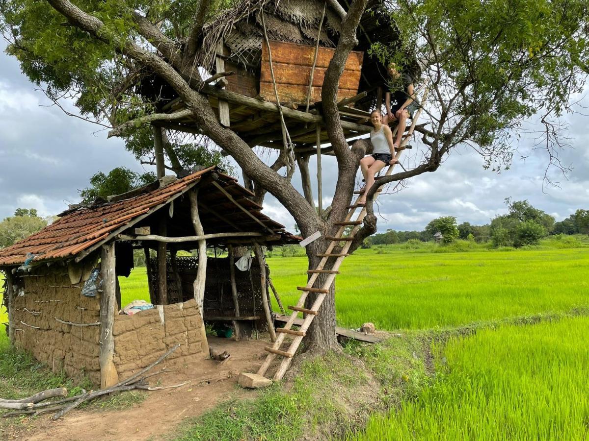 Thilina Homestay Сигирия Экстерьер фото